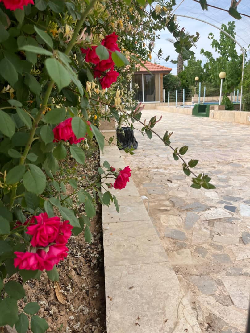 باغ کیارش دهقان